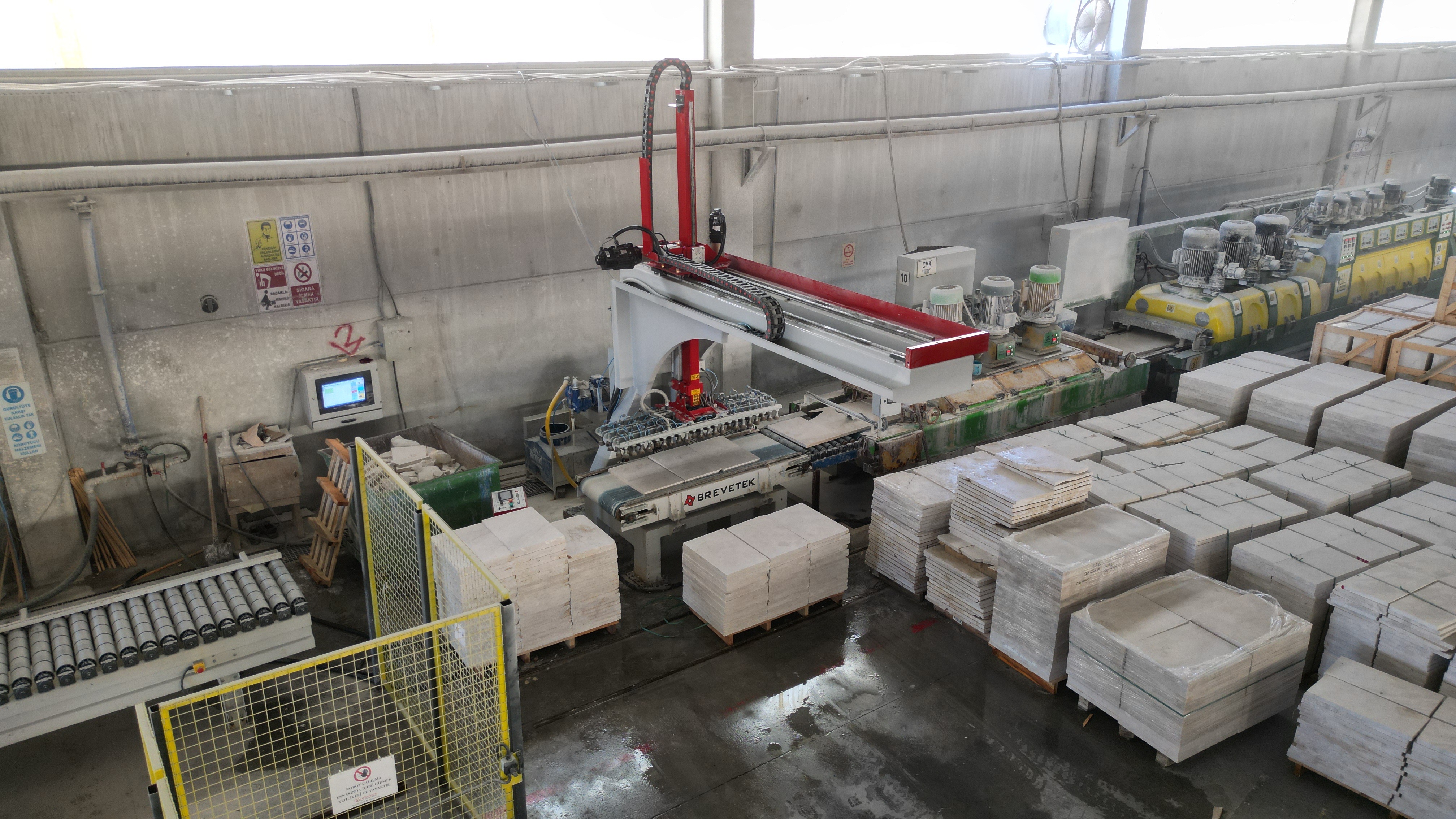 Strip Loading/Unloading Robot