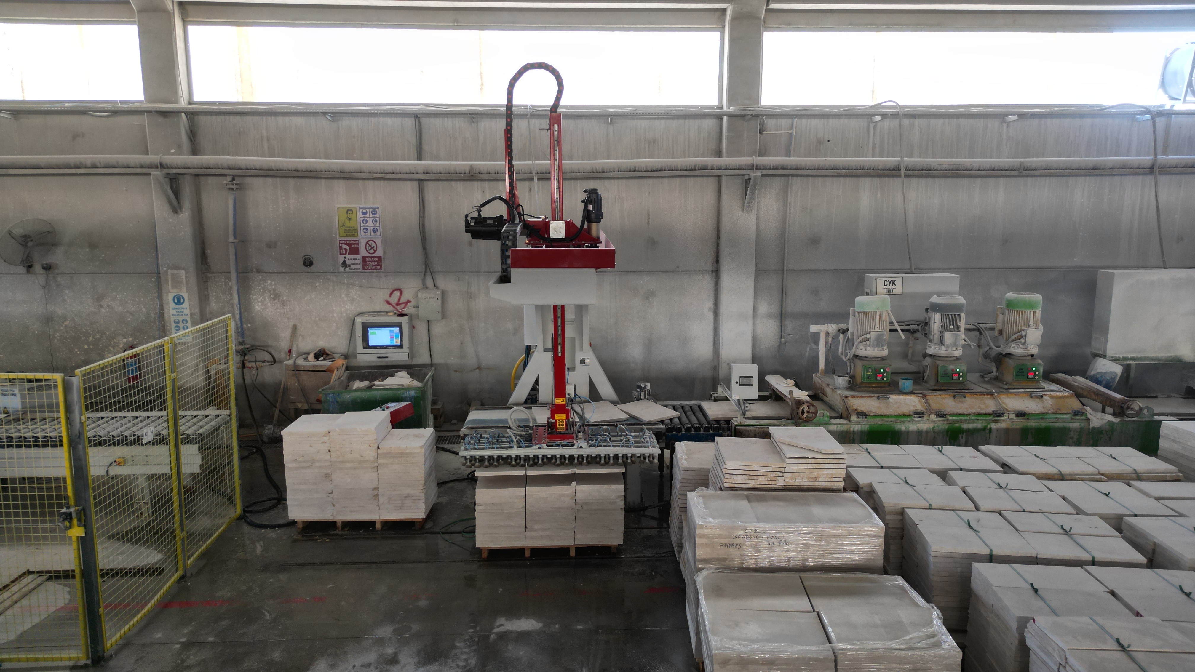 Strip Loading/Unloading Robot